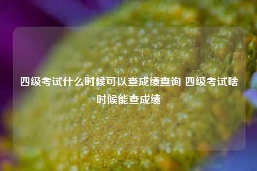 四级考试什么时候可以查成绩查询 四级考试啥时候能查成绩