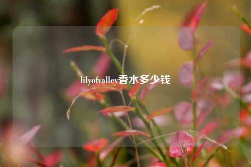 lilyofvalley香水多少钱