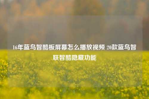 16年蓝鸟智酷板屏幕怎么播放视频 20款蓝鸟智联智酷隐藏功能