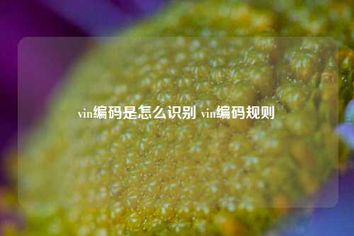 vin编码是怎么识别 vin编码规则