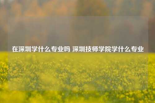 在深圳学什么专业吗 深圳技师学院学什么专业