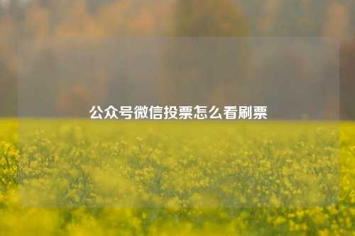 公众号微信投票怎么看刷票