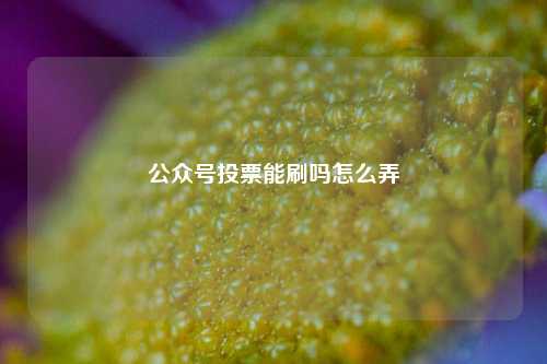 公众号投票能刷吗怎么弄