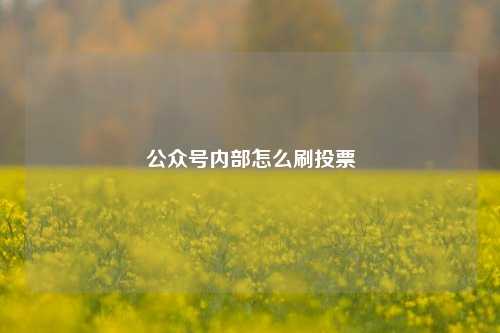 公众号内部怎么刷投票