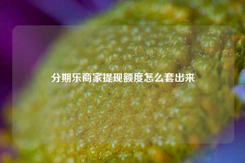 分期乐商家提现额度怎么套出来