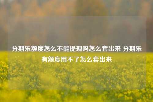 分期乐额度怎么不能提现吗怎么套出来 分期乐有额度用不了怎么套出来