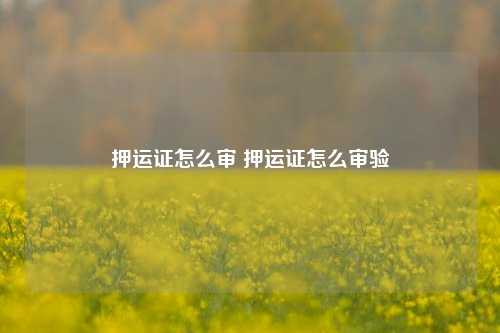 押运证怎么审 押运证怎么审验