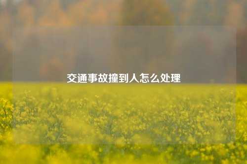 交通事故撞到人怎么处理