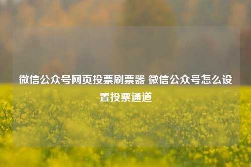 微信公众号网页投票刷票器 微信公众号怎么设置投票通道