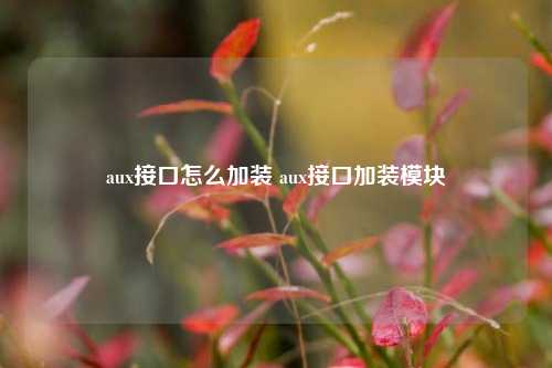 aux接口怎么加装 aux接口加装模块