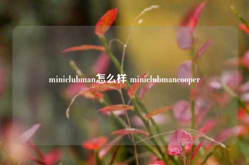 miniclubman怎么样 miniclubmancooper