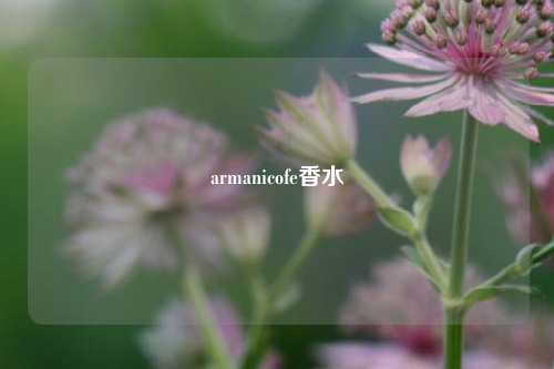 armanicofe香水