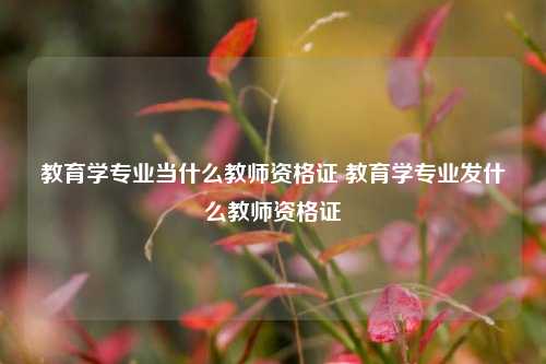 教育学专业当什么教师资格证 教育学专业发什么教师资格证