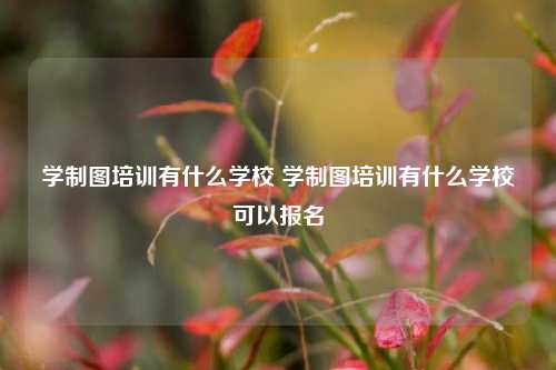 学制图培训有什么学校 学制图培训有什么学校可以报名