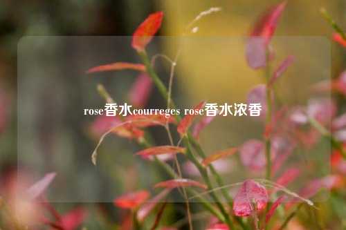 rose香水courreges rose香水浓香