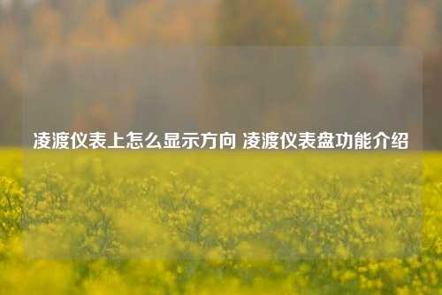 凌渡仪表上怎么显示方向 凌渡仪表盘功能介绍