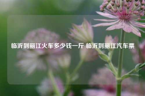 临沂到丽江火车多少钱一斤 临沂到丽江汽车票