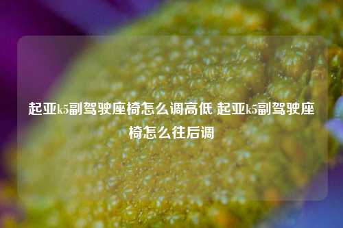 起亚k5副驾驶座椅怎么调高低 起亚k5副驾驶座椅怎么往后调