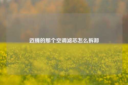 迈腾的那个空调滤芯怎么拆卸