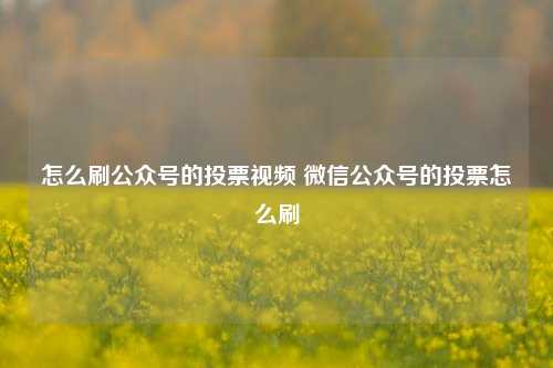 怎么刷公众号的投票视频 微信公众号的投票怎么刷