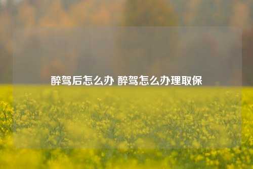 醉驾后怎么办 醉驾怎么办理取保