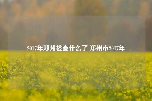 2017年郑州检查什么了 郑州市2017年