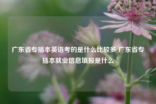 广东省专插本英语考的是什么比较多 广东省专插本就业信息填报是什么