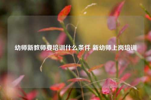 幼师新教师要培训什么条件 新幼师上岗培训