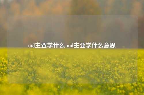 uid主要学什么 uid主要学什么意思