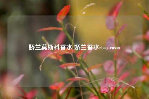 娇兰莫斯科香水 娇兰香水rosa rossa