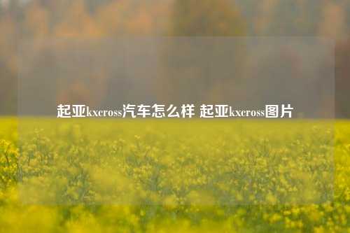 起亚kxcross汽车怎么样 起亚kxcross图片