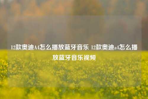 12款奥迪A4怎么播放蓝牙音乐 12款奥迪a4怎么播放蓝牙音乐视频