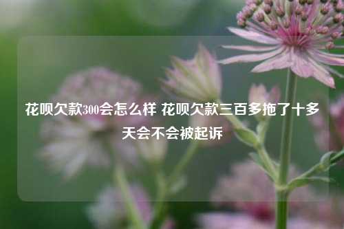 花呗欠款300会怎么样 花呗欠款三百多拖了十多天会不会被起诉