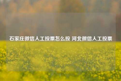 石家庄微信人工投票怎么投 河北微信人工投票