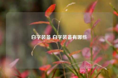 白字装备 白字装备有哪些