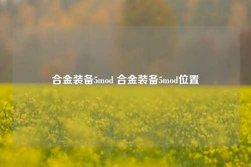 合金装备5mod 合金装备5mod位置