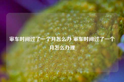 审车时间过了一个月怎么办 审车时间过了一个月怎么办理