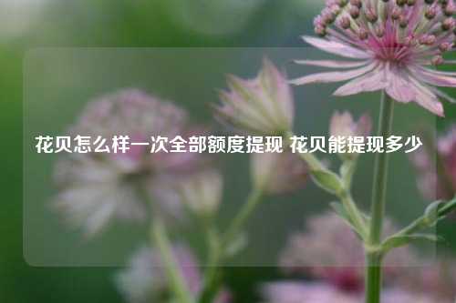 花贝怎么样一次全部额度提现 花贝能提现多少