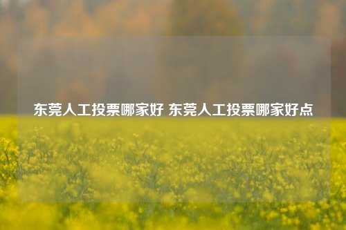 东莞人工投票哪家好 东莞人工投票哪家好点