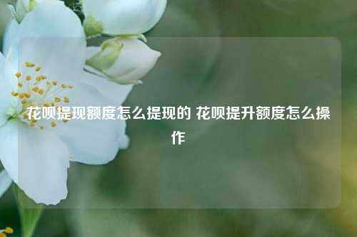 花呗提现额度怎么提现的 花呗提升额度怎么操作