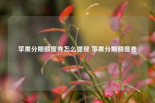 苹果分期额度券怎么提现 苹果分期额度卷