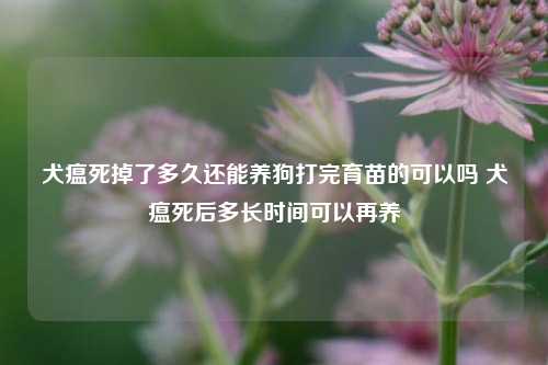 犬瘟死掉了多久还能养狗打完育苗的可以吗 犬瘟死后多长时间可以再养