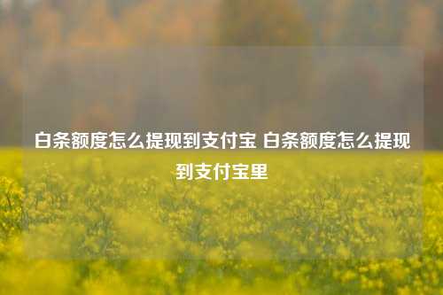 白条额度怎么提现到支付宝 白条额度怎么提现到支付宝里