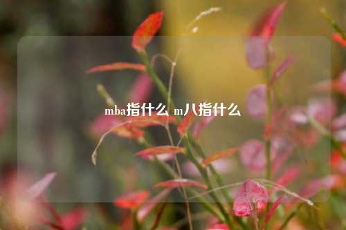 mba指什么 m八指什么