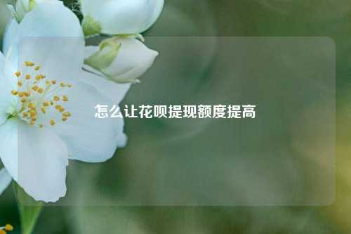 怎么让花呗提现额度提高