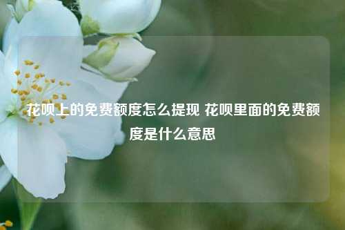 花呗上的免费额度怎么提现 花呗里面的免费额度是什么意思