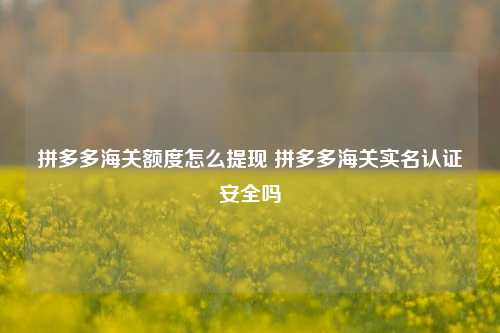 拼多多海关额度怎么提现 拼多多海关实名认证安全吗