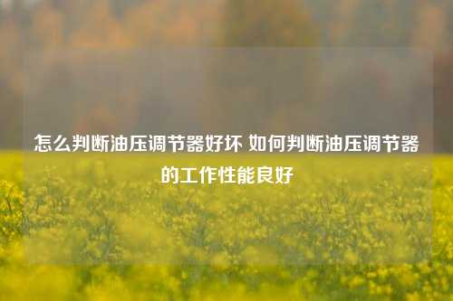 怎么判断油压调节器好坏 如何判断油压调节器的工作性能良好