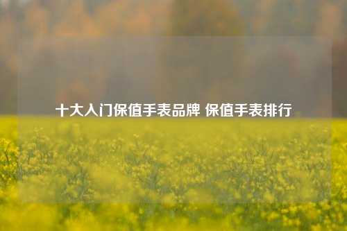 十大入门保值手表品牌 保值手表排行