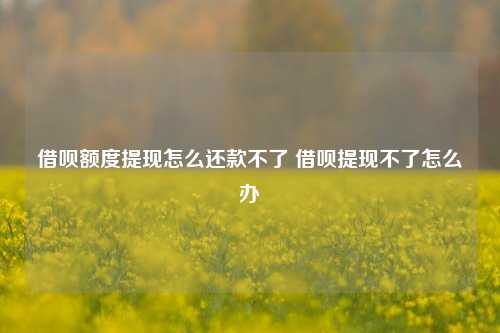 借呗额度提现怎么还款不了 借呗提现不了怎么办